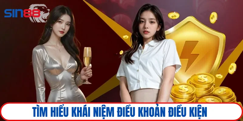 Điều khoản điều kiện 1 Chính sách điều khoản được hiểu như nào?