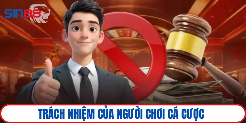 Miễn trừ trách nhiệm 3 Trách nhiệm về phía người chơi